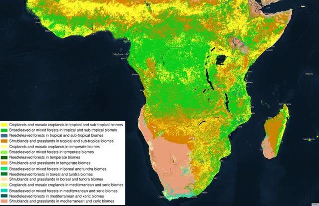 Figure 10 Fuel classes in Sub-Saharan Africa, based on the GWIS..jpg Figure 10 Fuel classes in Sub-Saharan Africa, based on the GWIS..jpg